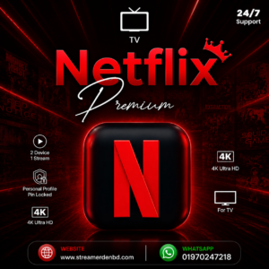 Netflix Subscription TV
